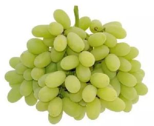 Fresh Green Grapes