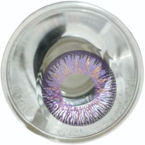 Crazy Color Contact Lens Violet- 3 tone