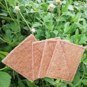 Coir Scrubber Stitched