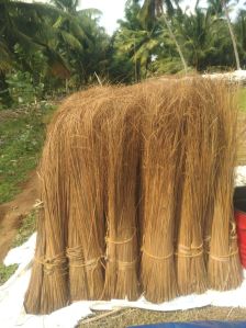 broom coconut stick