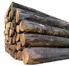 Ghana Teak Wood logs