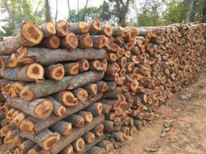 Multi Purpose Fire Wood Logs