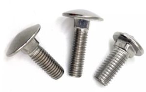 Mushroom Head Square Neck Bolts