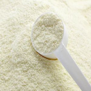 Skimmed Milk Powder