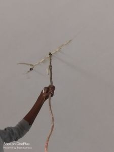 Water Tanks Waterproofing