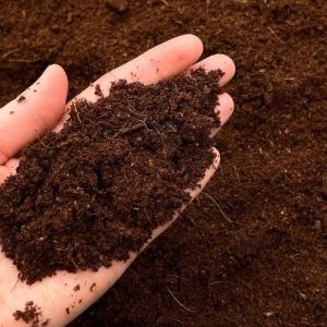Low EC Cocopeat Powder