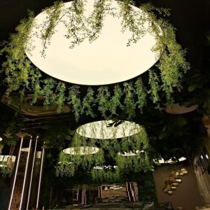 Circle Stretch Ceilings