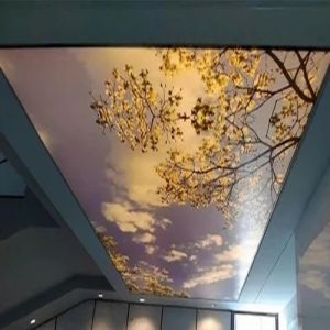 PVC Stretch Ceiling