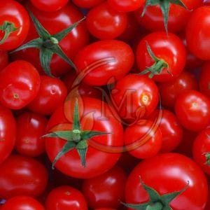 Fresh Red Tomato