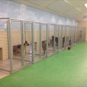 PET Boarding Service