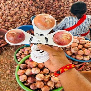 A Grade Fresh Yellow Onion