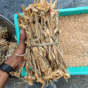 Bombay Duck Dry Fish