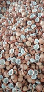 Dried Copra Coconut