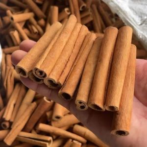 Dalchini Cinnamon Stick