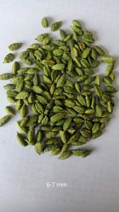 Green Cardamom