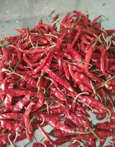 Teja Chilli