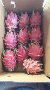 Dragon Fruit