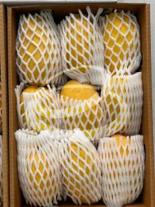 Kesar Mango