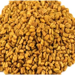 Fenugreek Seeds