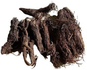 Spikenard Roots