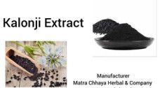 Black Cumin Seed Oil