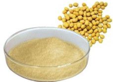 Soybean Extract