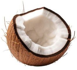 Coconut