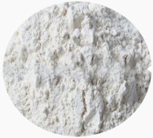 White Onion Powder