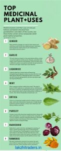Medicinal Plant