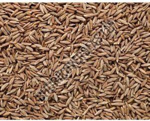 Natural Cumin Seeds