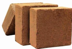 Coco Peat Blocks