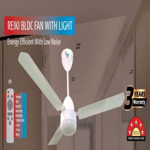 Reiki 3 Blade BLDC Ceiling Fan