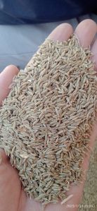 Cumin Seeds