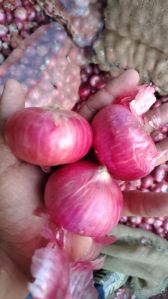 Fresh Red Onion