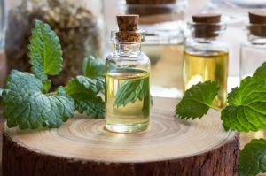 Peppermint Oil