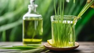 Lemongrass Aroma Oil