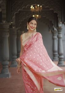 Banarsi Semi Georgette Soft Saree