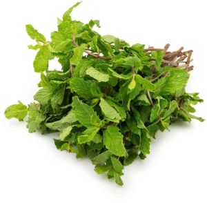 Fresh Mint Leaves