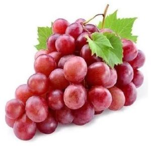 Fresh Red Grapes