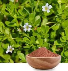 Bacopa Monnieri Powder