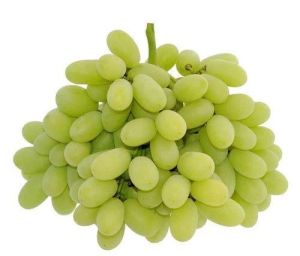 Seedless Green Grapes