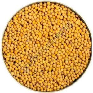 Yellow Mustard Seeds