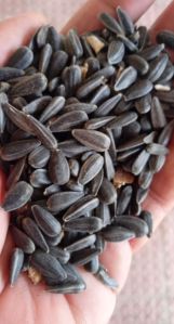 Black Sunflower Seeds