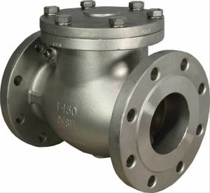 Swing Check Valve