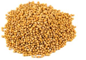 Yellow Mustard Seeds