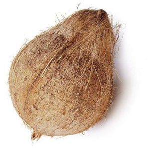 Fresh Semi Husked Coconut