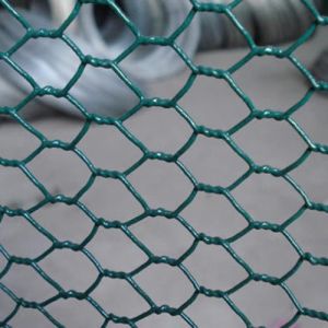 PVC Coated Wire Mesh