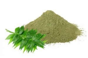 Organic Green Neem Leaves Powder