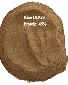 Rice Dried Distillers Grains Soluble