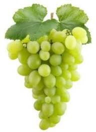 A Grade Green Grapes